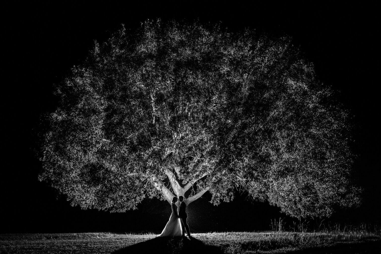 a black and white composition of a dorset oak tree with a bride and groom in sillouette