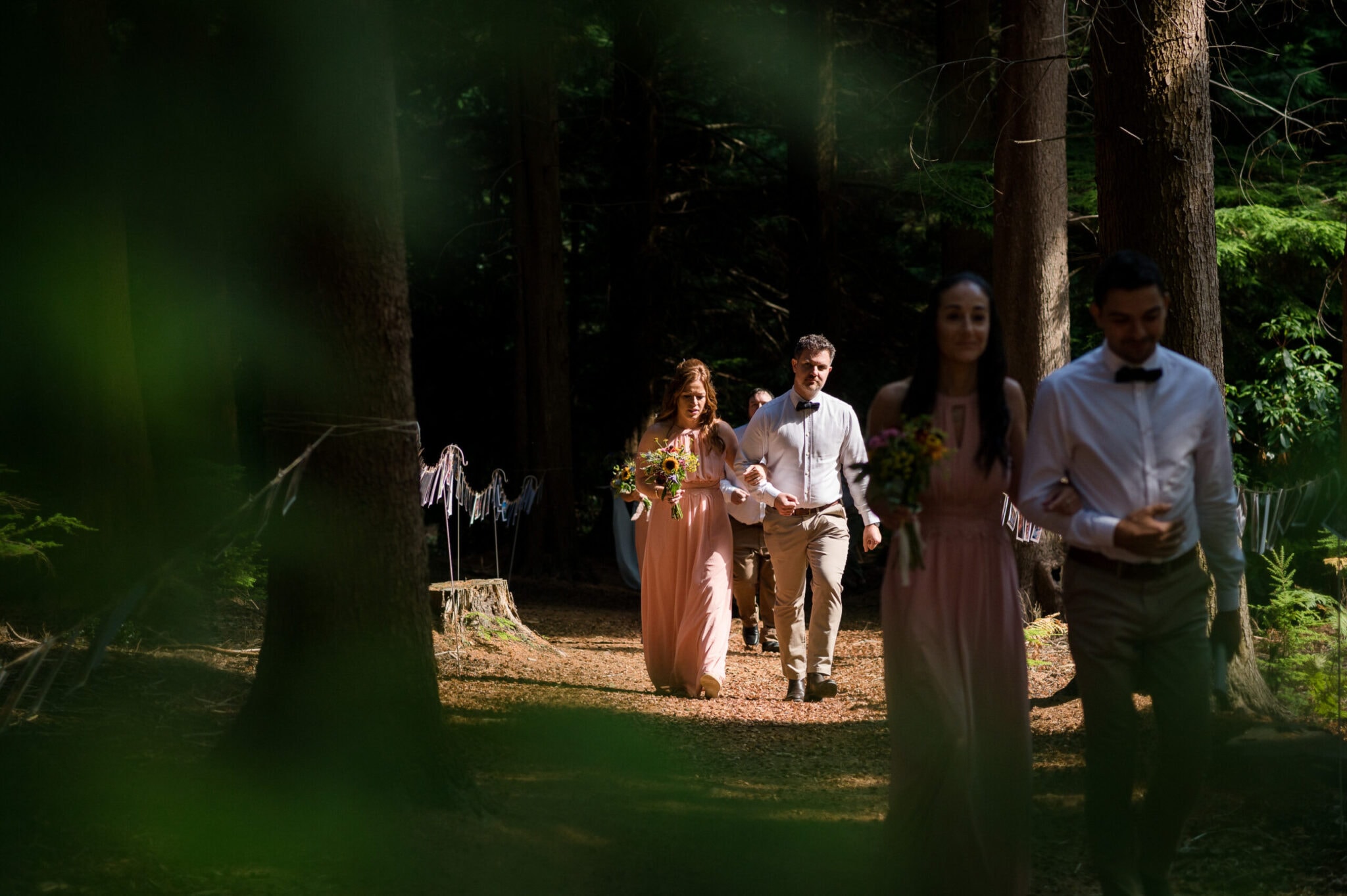 Bridal procession through the wood in the New Forest