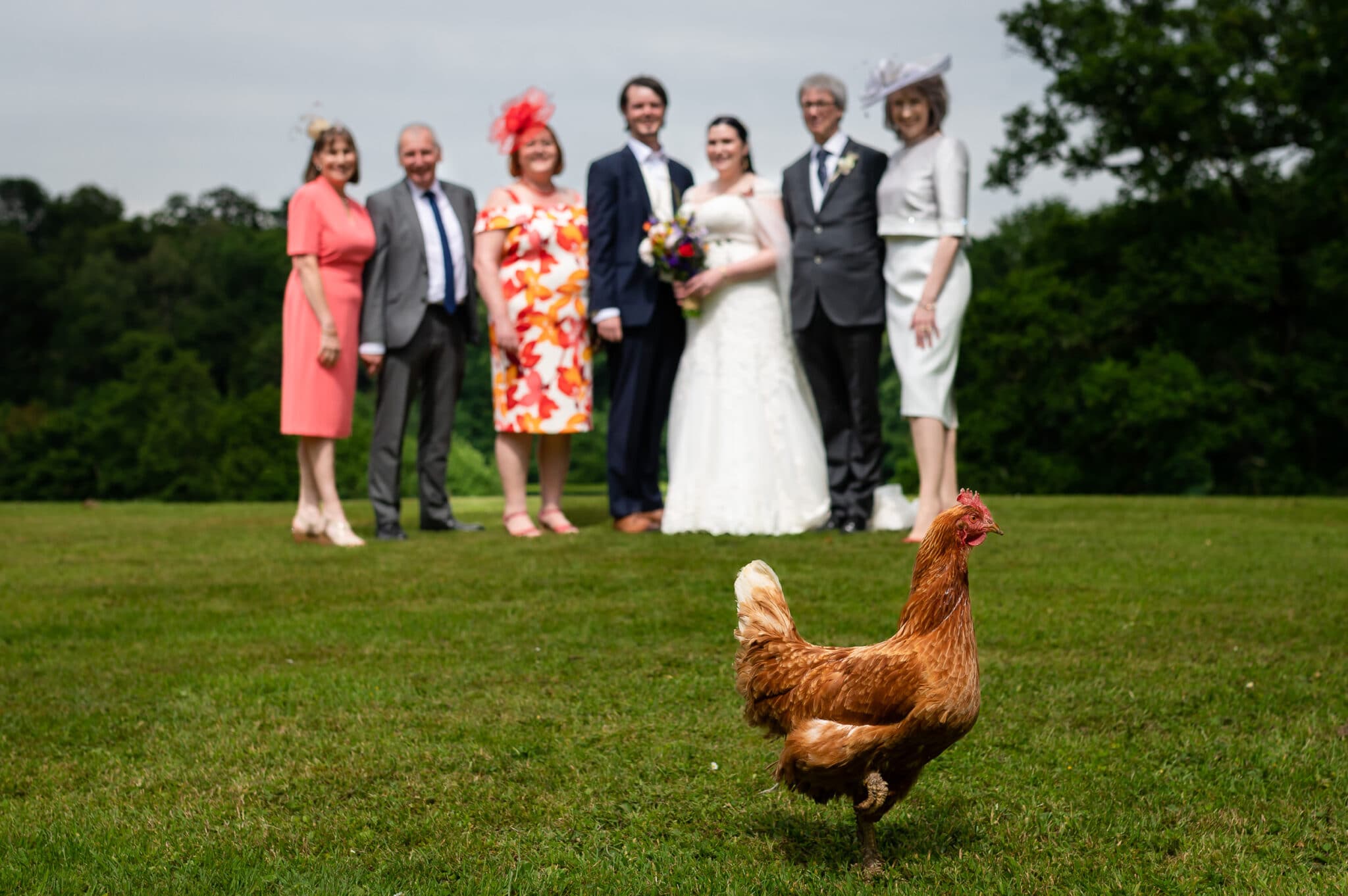 family group photobombed by chicken Ashley Wood Farm wedding