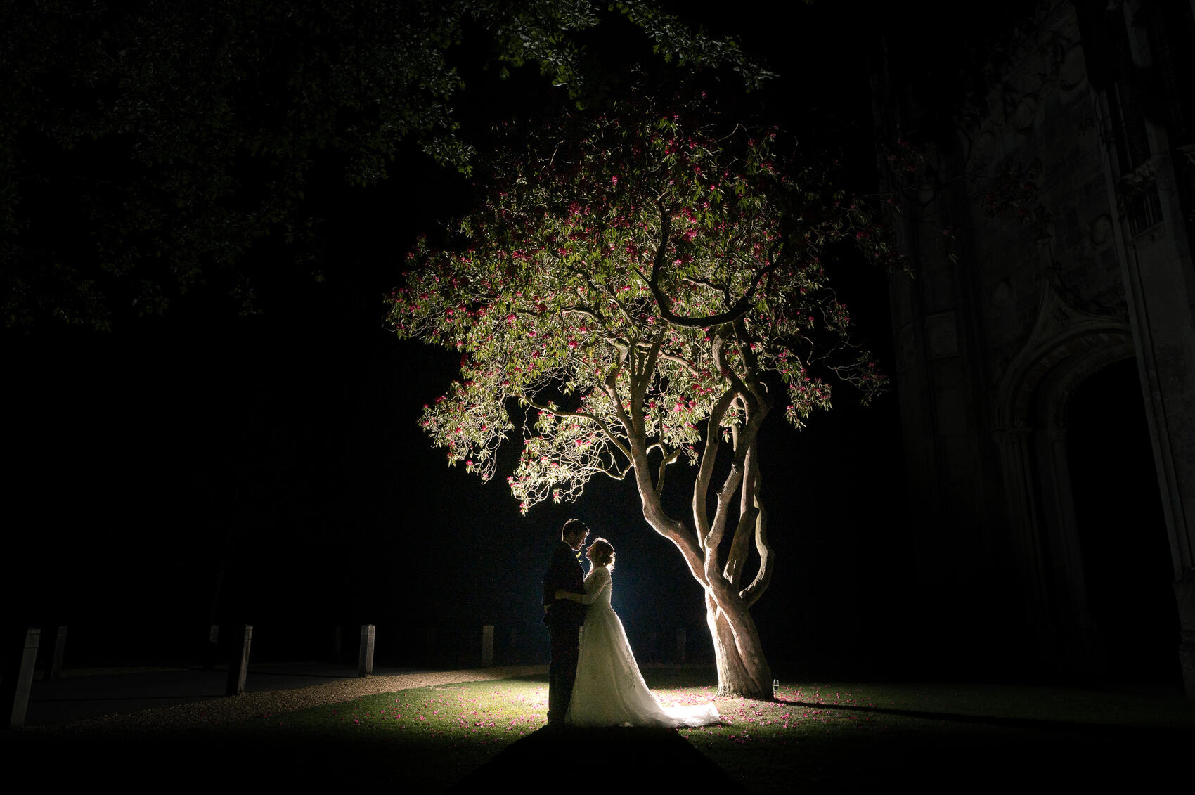 Night shot under a blossom tree at Highcliffe castle wedding
