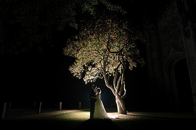 Night shot under a blossom tree at Highcliffe castle wedding