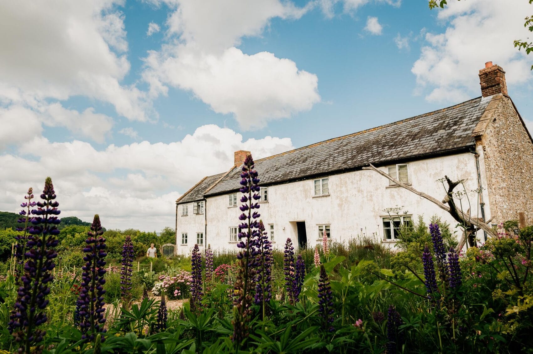 River Cottage HQ in Devon ready for a summer River Cottage wedding